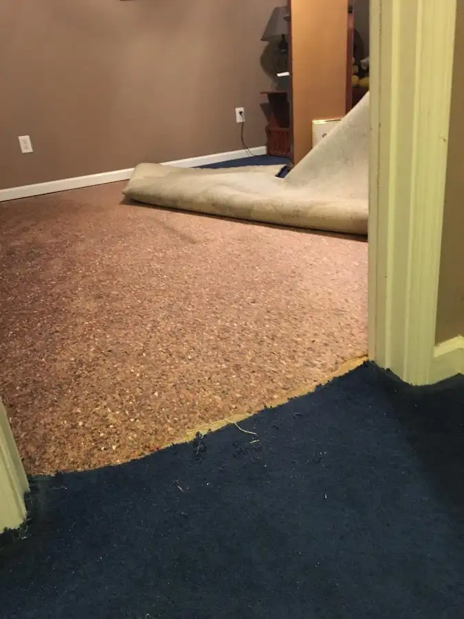 Carpet pad removal revealing water damage during Drying & Dehumidification in DeBary